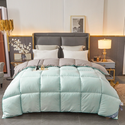 Hotel hiems Consolatorem Premium Tempus
